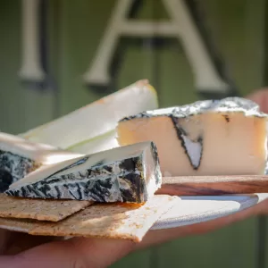 True Blue vegan cheese by Mouse's Favourite photographed on a summer's day showing a segment on a single crackers and more of the triangle piece behind held with a glass of red wine at a summer picnic or party
