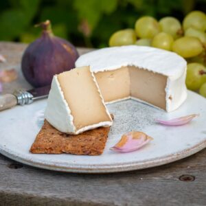 Camembert style vegan cheese by Mouse's Favourite photographed on a late summer's day showing a small segment on a single cracker and the rest of the cheese wheel behind with a fig on the side