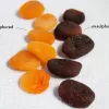 Apricolina vegan cheese with apricots by Mouse's Favourite - photo of sulphured and unsulphured apricots to show a comparison of colour.